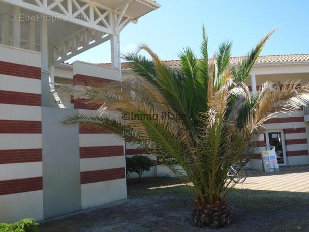 Soulac-Sur-Mer Avec Piscine エクステリア 写真